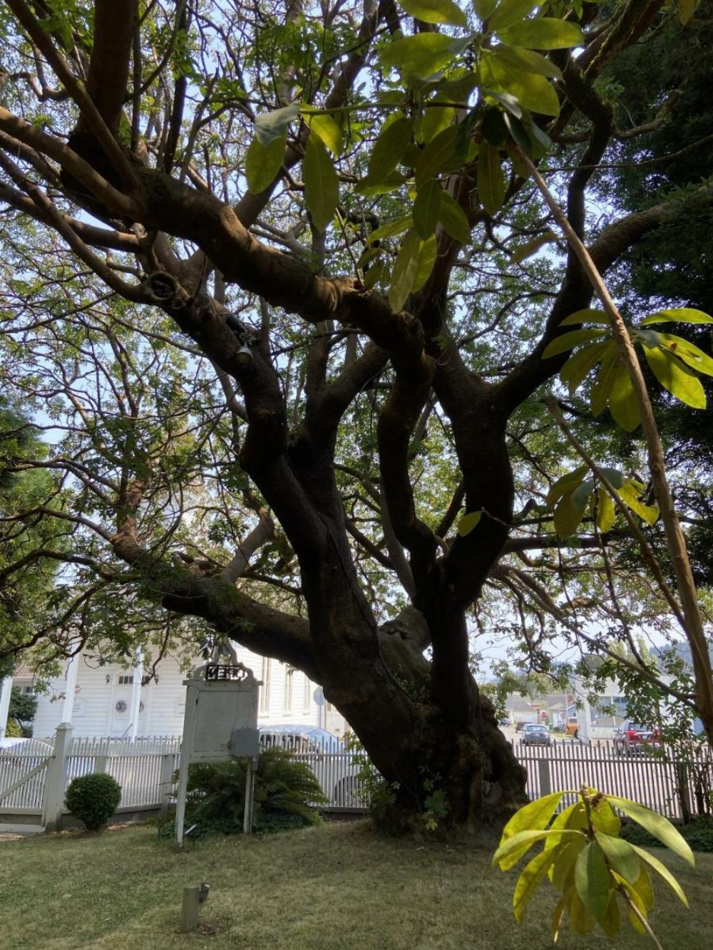 Shaw House Inn Image 7