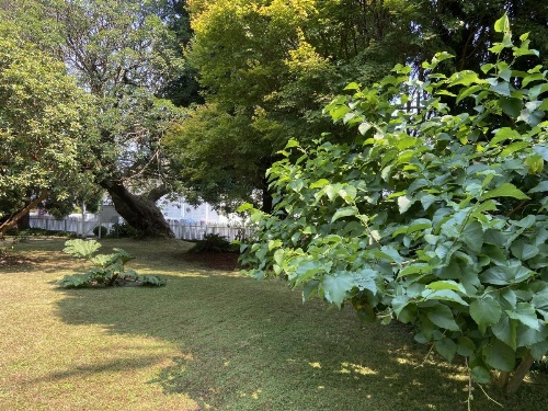 Shaw House Inn image 8